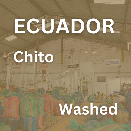 Ecuador Chito Washed