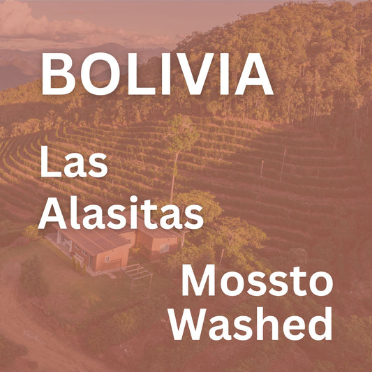 Bolivia Las Alasitas Mossto Washed