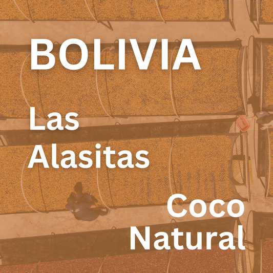 Bolivia Las Alasitas Coco Natural