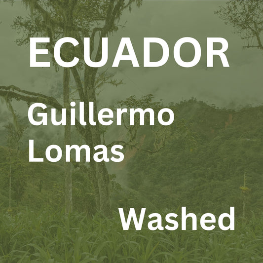 Ecuador Guillermo Lomas Washed