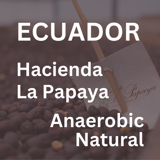 Ecuador Hacienda La Papaya Anaerobic Natural