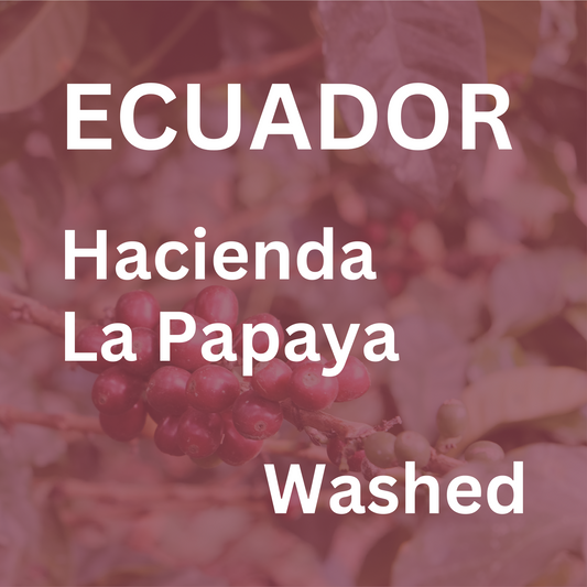 Ecuador Hacienda La Papaya Washed