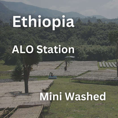 Ethiopia ALO Station Mini Washed