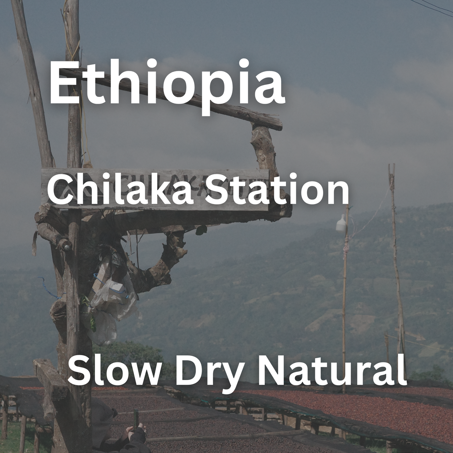 Ethiopia Chilaka Station Slow Dry Natural