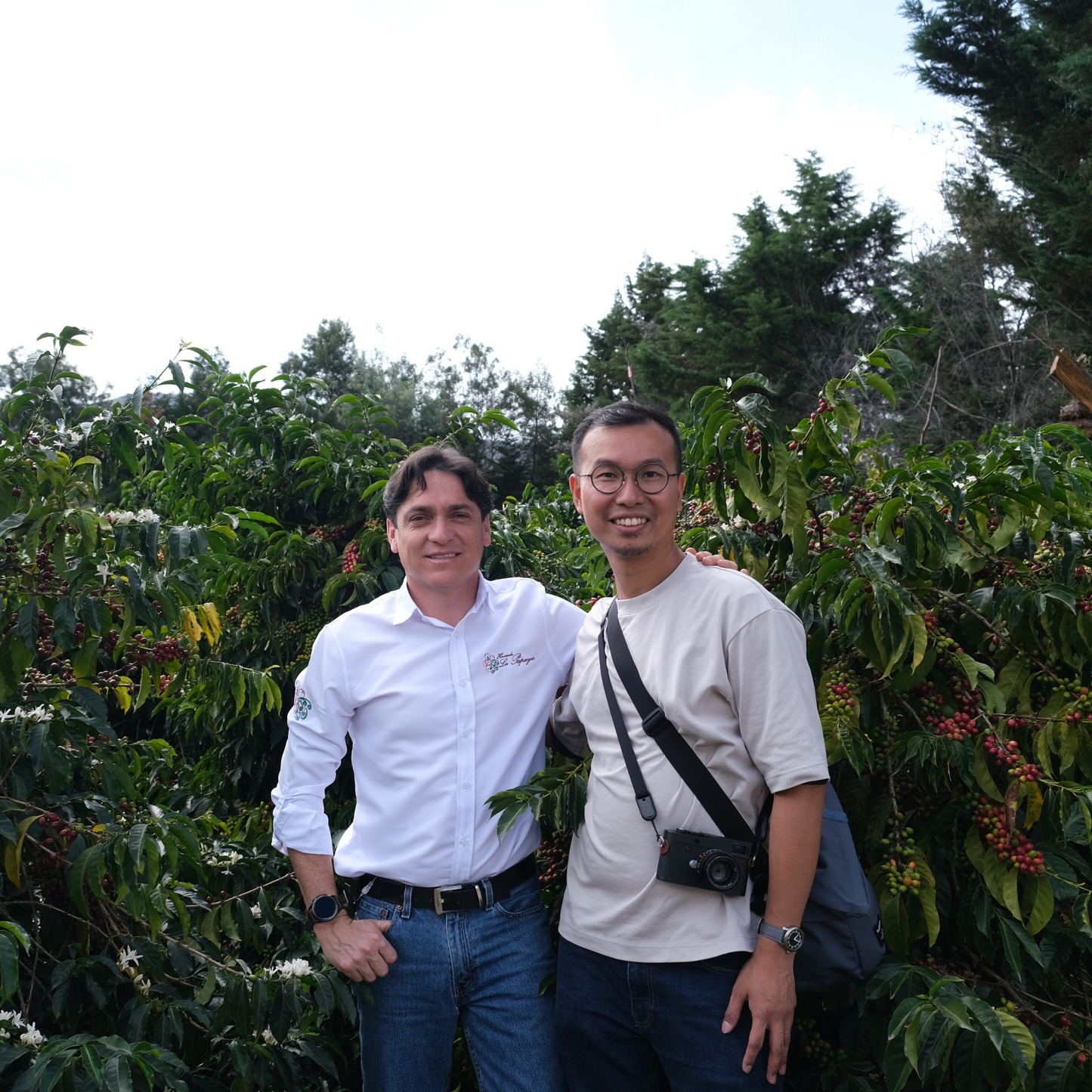 Ecuador Hacienda La Papaya Anaerobic Natural