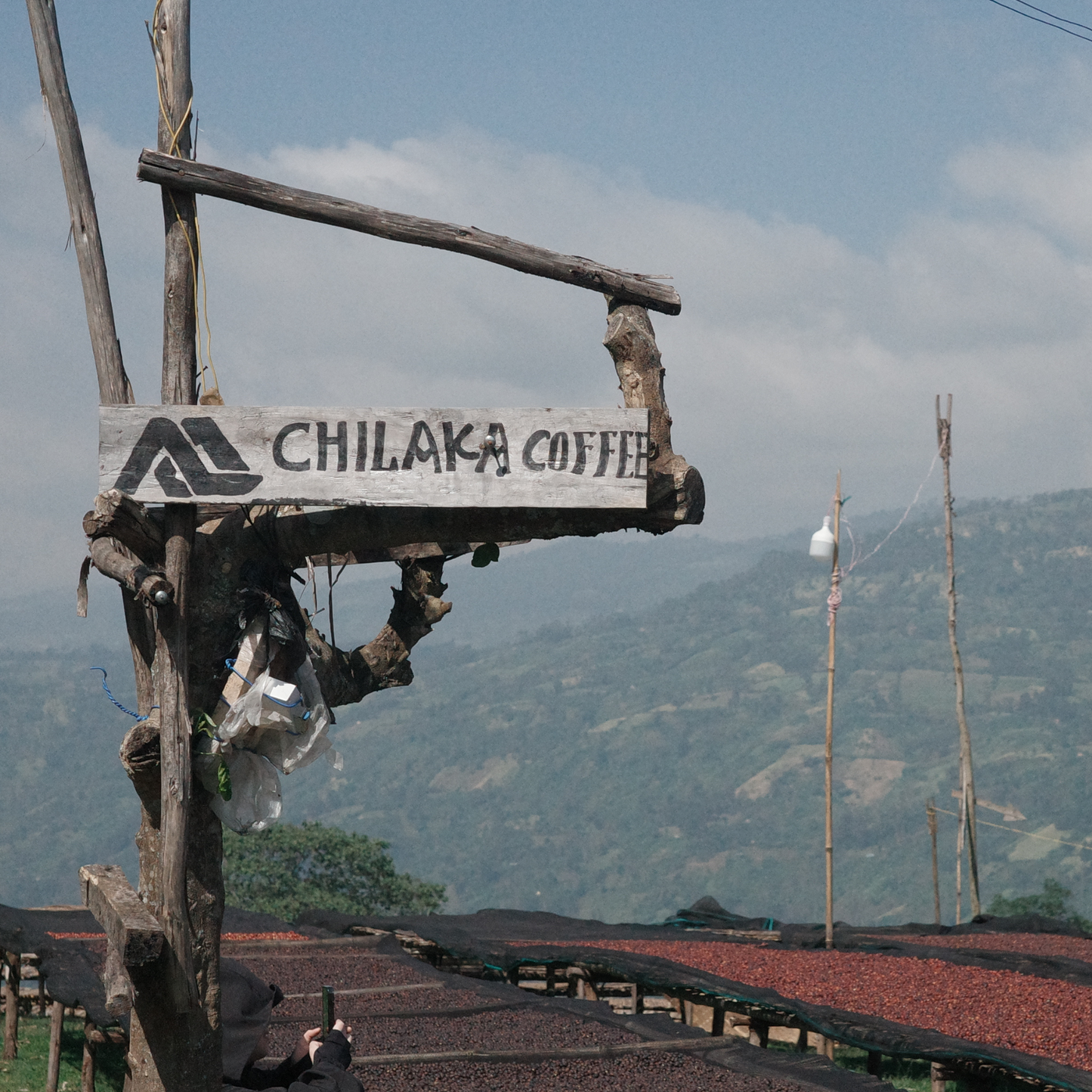 Ethiopia Chilaka Station Slow Dry Natural